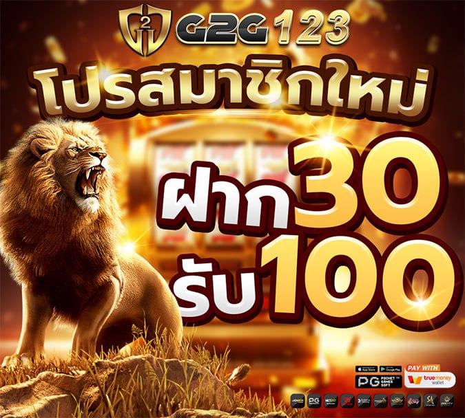z8 com เว็บตรง สล็อต ฝากถอนออโต้ ไม่ผ่านเอเย่นต์ 2026